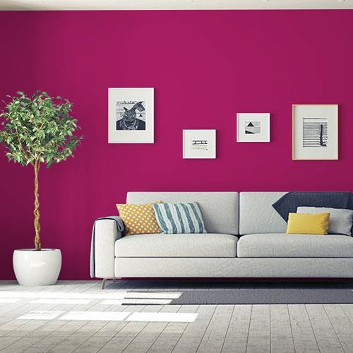 FUCHSIA Chic